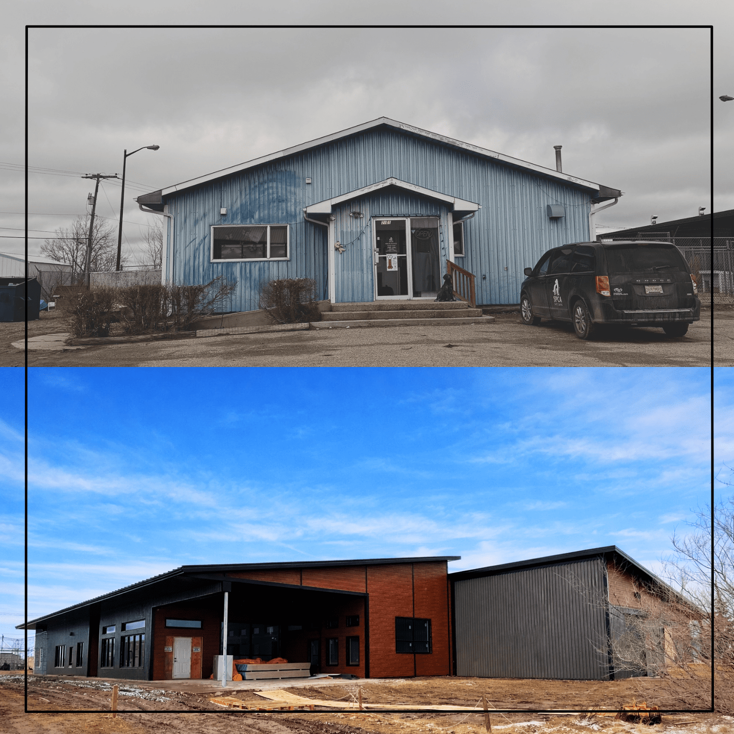 Young stylish couple walking with dog in street
