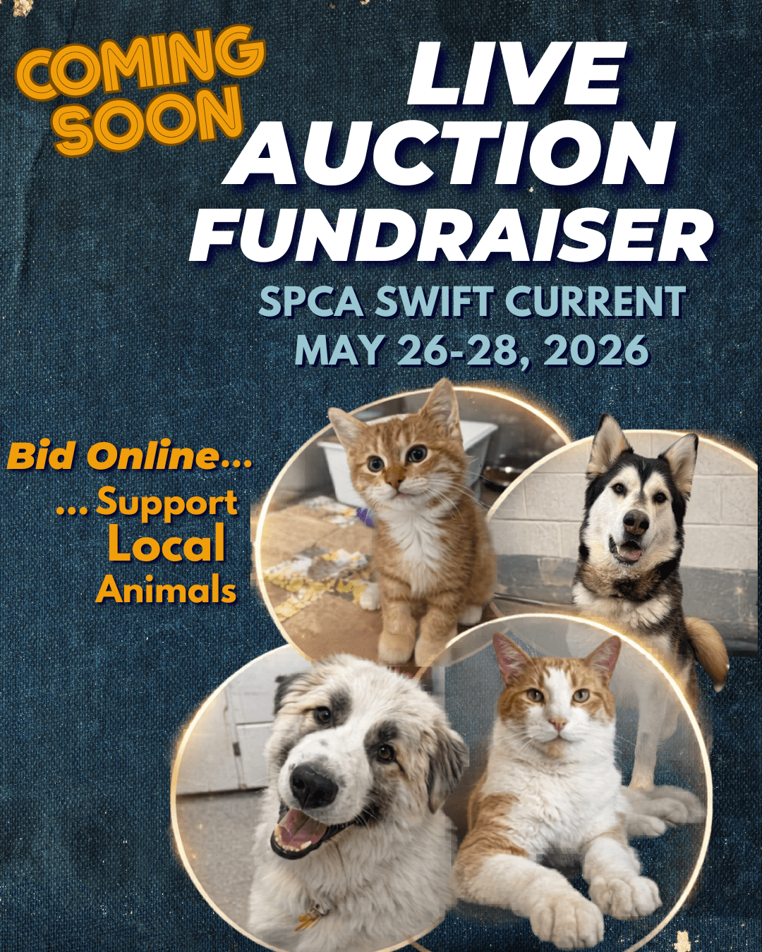 David Zammit, Marissa Wolfe, and Kate Andriushyn pose with the grand total for the 2024 Radiothon, $46,860.