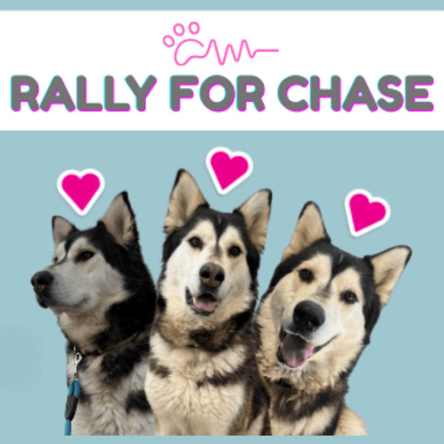 Swift Current SPCA Radiothon 2023